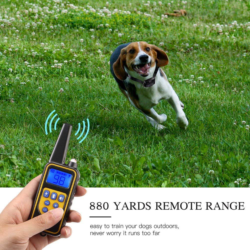 Rechargeable Waterproof Dog Training Collar with Remote – Long Range & Adjustable Settings