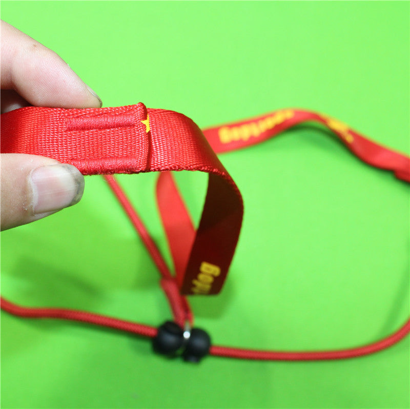 Nylon Handle Slip Lead – Durable, Comfortable & Easy to Use For Dog Training & Walking