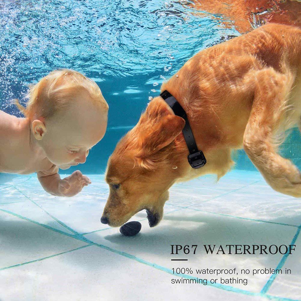Rechargeable Waterproof Dog Training Collar with Remote – Long Range & Adjustable Settings