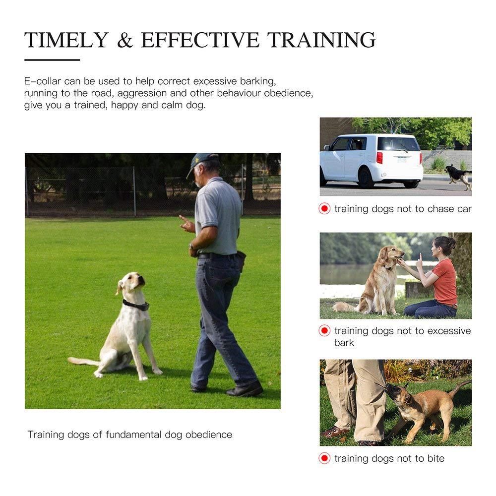 Rechargeable Waterproof Dog Training Collar with Remote – Long Range & Adjustable Settings