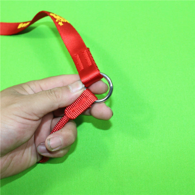 Nylon Handle Slip Lead – Durable, Comfortable & Easy to Use For Dog Training & Walking
