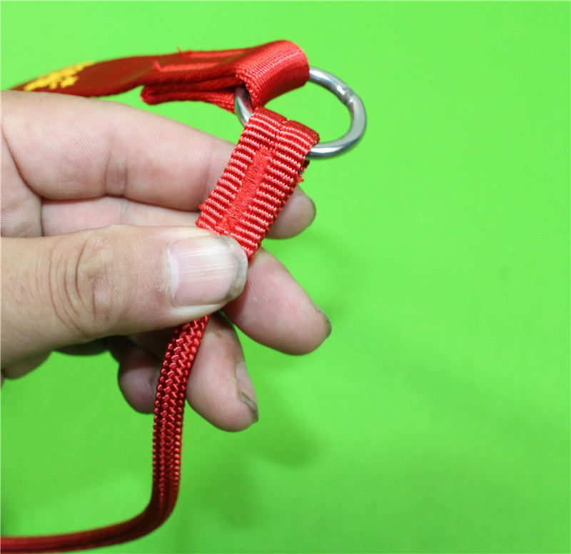 Nylon Handle Slip Lead – Durable, Comfortable & Easy to Use For Dog Training & Walking