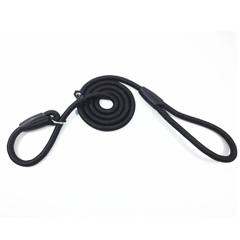 Strong Nylon Slip Lead Dog Leash One-Size-Fits-All, No-Pull Slip Lead for Training & Walking Medium Large & XL Dogs