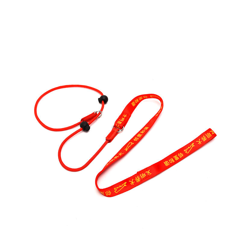 Nylon Handle Slip Lead – Durable, Comfortable & Easy to Use For Dog Training & Walking