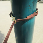 Load image into Gallery viewer, dog lead hooks