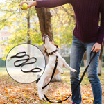 Load image into Gallery viewer, 6ft Leather Dog Lead Double Handle Leash with Brass Clip Heavy Duty Training