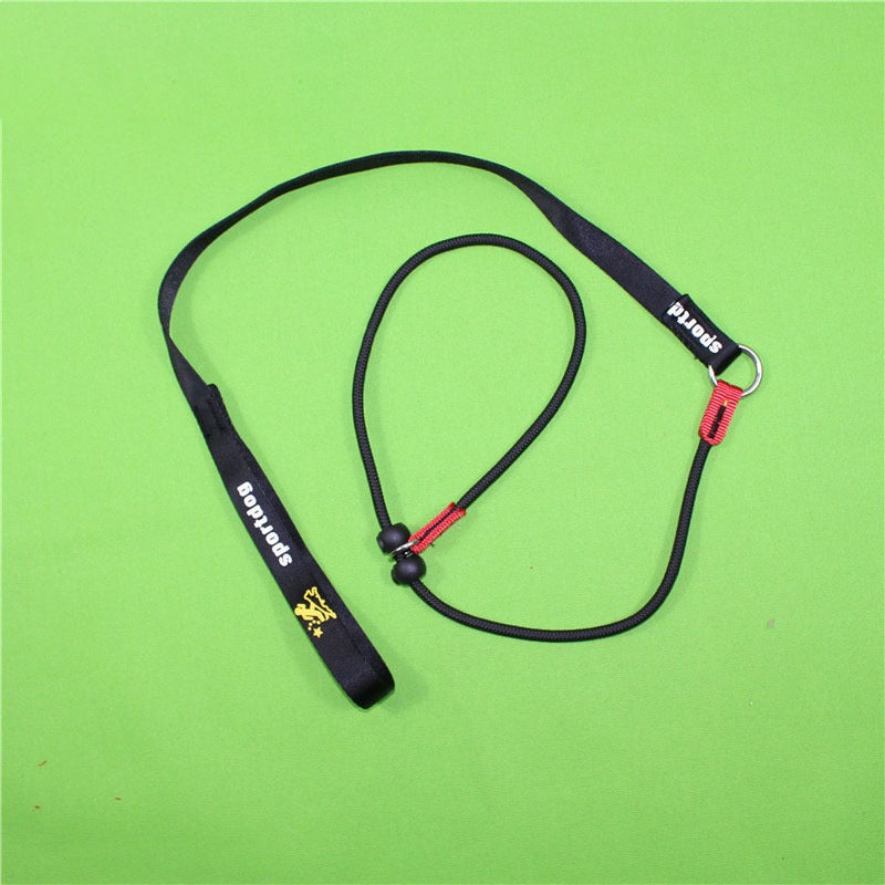 Nylon Handle Slip Lead – Durable, Comfortable & Easy to Use For Dog Training & Walking
