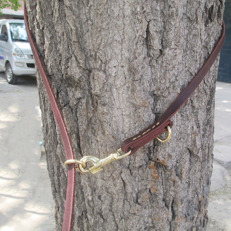 Premium Leather Training Dog Leash – Double Hook Design for Hands-Free Walking & Easy Training