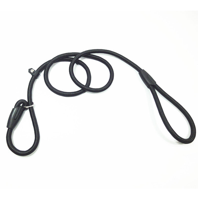 Strong Nylon Slip Lead Dog Leash One-Size-Fits-All, No-Pull Slip Lead for Training & Walking Medium Large & XL Dogs