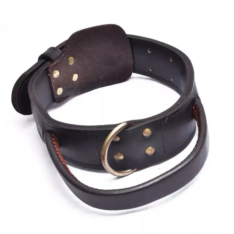 Leather Dog Collar With Quick Grab Handle For Large Dogs