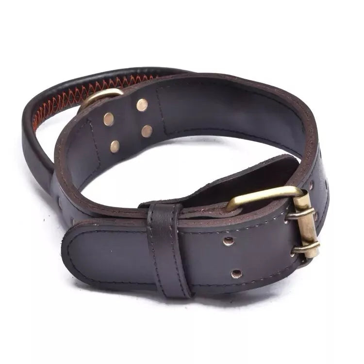 Leather Dog Collar With Quick Grab Handle For Large Dogs