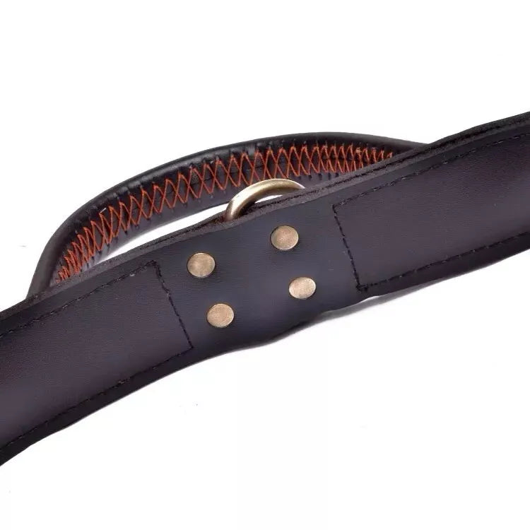 Leather Dog Collar With Quick Grab Handle For Large Dogs