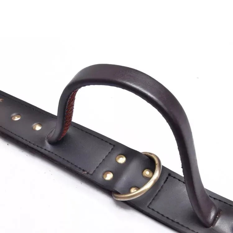 Leather Dog Collar With Quick Grab Handle For Large Dogs