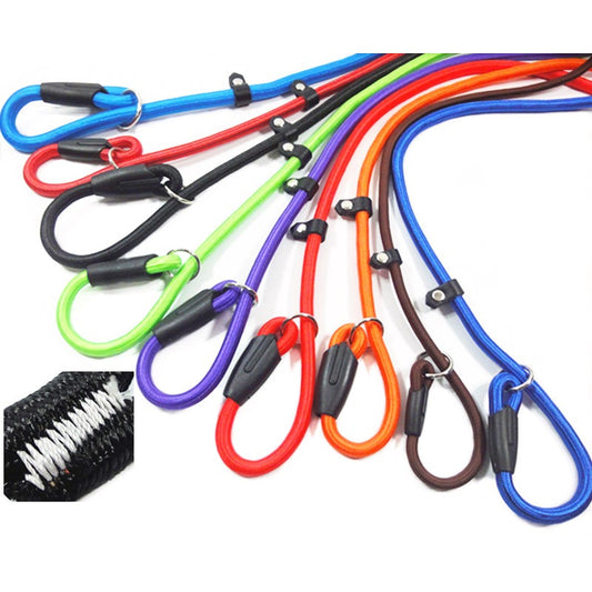 Strong Nylon Slip Lead Dog Leash One-Size-Fits-All, No-Pull Slip Lead for Training & Walking Medium Large & XL Dogs