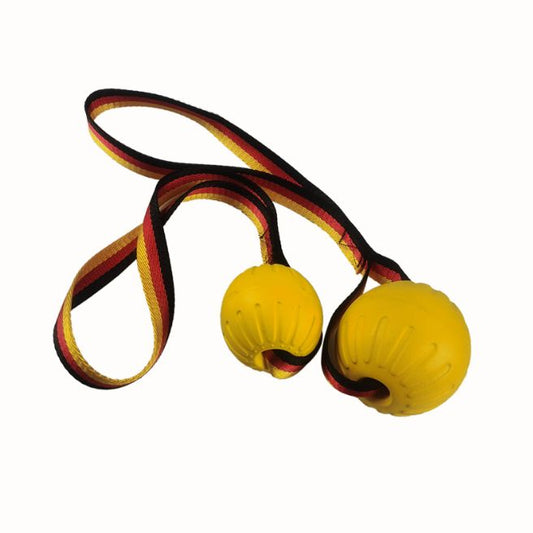 Durable Dog Chew Ball with Strong Rope – Tug Of War Interactive Fetch Toy for Dogs for Medium & Large Dogs