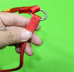 Load image into Gallery viewer, Nylon Handle Slip Lead – Durable, Comfortable &amp; Easy to Use For Dog Training &amp; Walking
