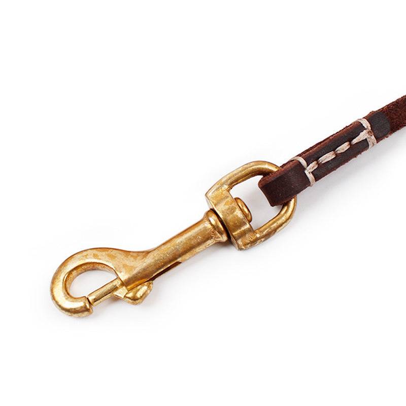 Genuine Leather Dog Leash – Heavy-Duty, Stylish & Comfortable for Walking & Trainin