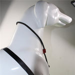 Load image into Gallery viewer, Nylon Handle Slip Lead – Durable, Comfortable &amp; Easy to Use For Dog Training &amp; Walking
