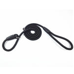 Load image into Gallery viewer, Strong Nylon Slip Lead Dog Leash One-Size-Fits-All, No-Pull Slip Lead for Training &amp; Walking Medium Large &amp; XL Dogs
