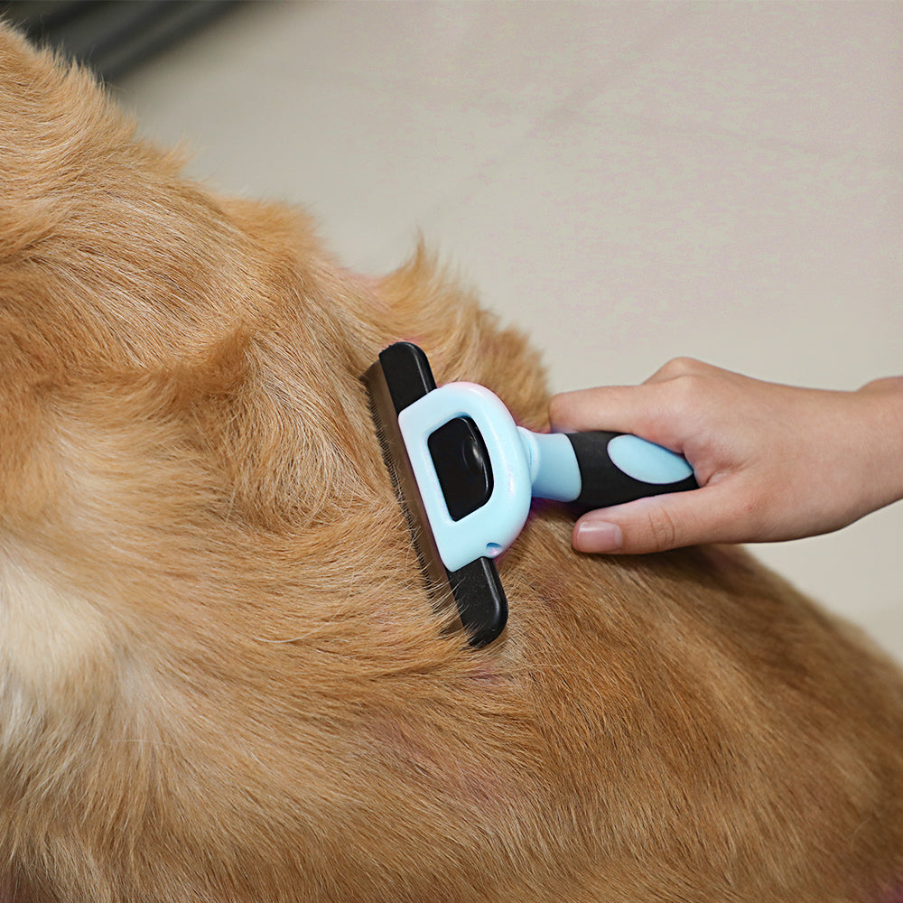 Pet Cleaning Tools Grooming Flea Brush Pet Removal Hair Dog Comb For Dog And Cat