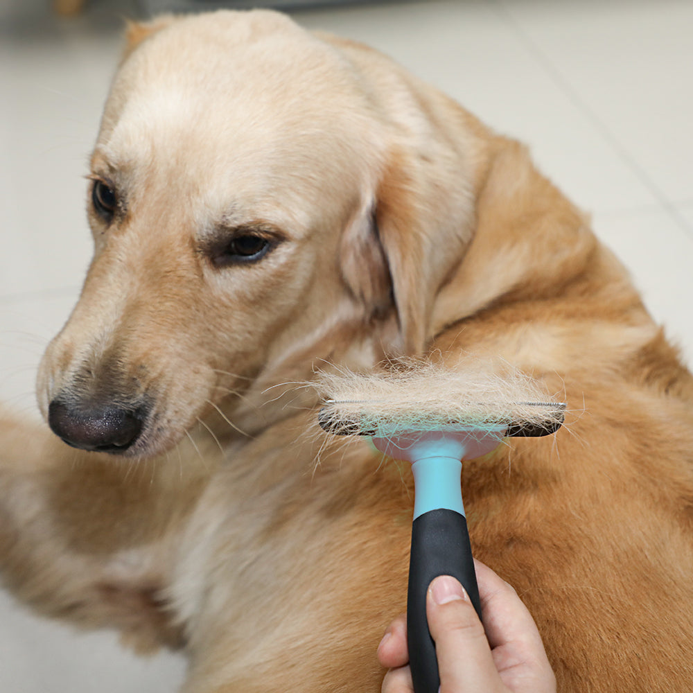 Pet Cleaning Tools Grooming Flea Brush Pet Removal Hair Dog Comb For Dog And Cat