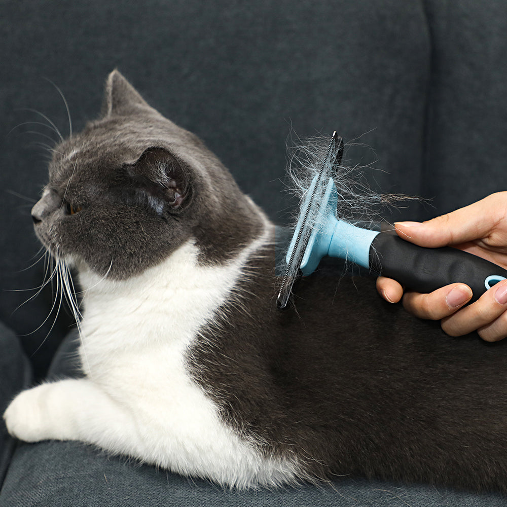 Pet Cleaning Tools Grooming Flea Brush Pet Removal Hair Dog Comb For Dog And Cat