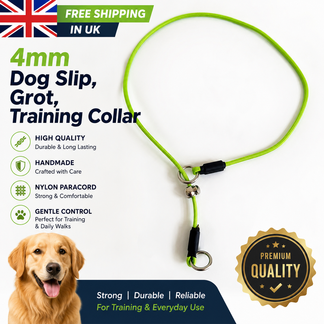 Professional Dog Training Collar – Ultra-Thin, Strong with One Limiter, & Durable for K9, IGP & Obedience