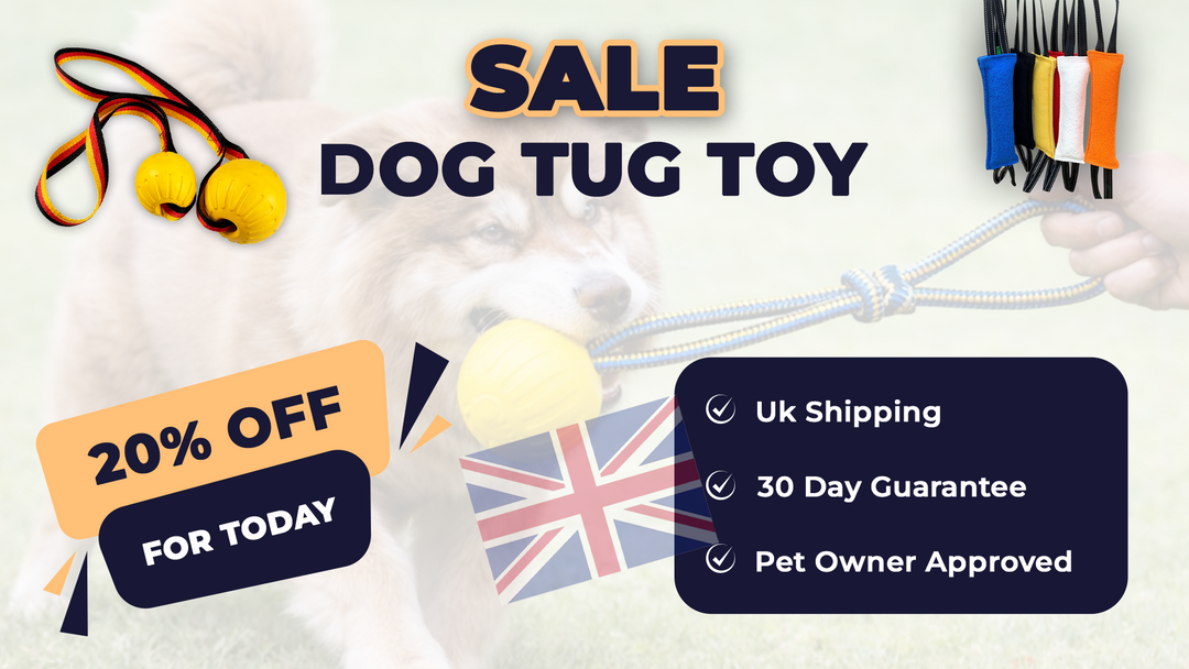 Durable Dog Chew Ball with Strong Rope – Tug Of War Interactive Fetch Toy for Dogs for Medium & Large Dogs