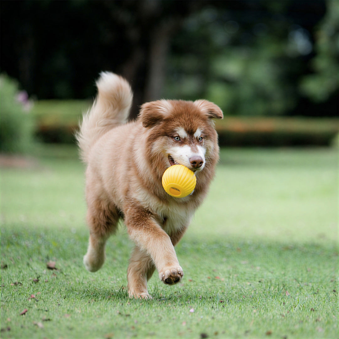 Durable Dog Chew Ball with Strong Rope – Tug Of War Interactive Fetch Toy for Dogs for Medium & Large Dogs