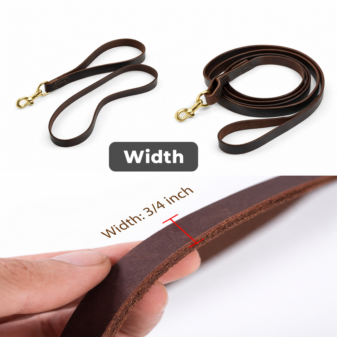 6ft Leather Dog Lead Double Handle Leash with Brass Clip Heavy Duty Training