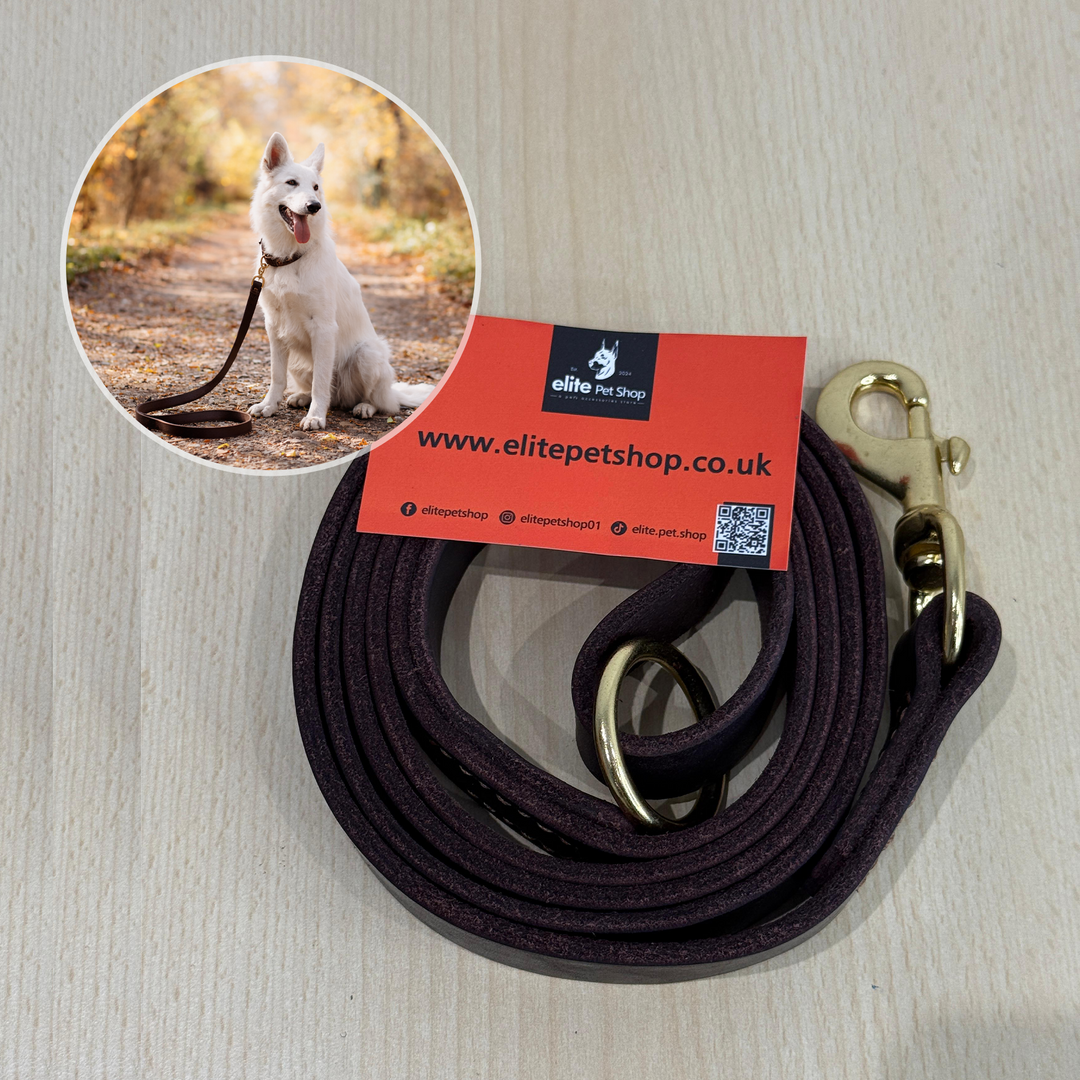 6ft Leather Dog Lead Double Handle Leash with Brass Clip Heavy Duty Training
