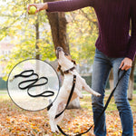 Load image into Gallery viewer, 6ft Leather Dog Lead Double Handle Leash with Brass Clip Heavy Duty Training