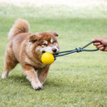 Load image into Gallery viewer, Durable Dog Chew Ball with Strong Rope – Tug Of War Interactive Fetch Toy for Dogs for Medium &amp; Large Dogs