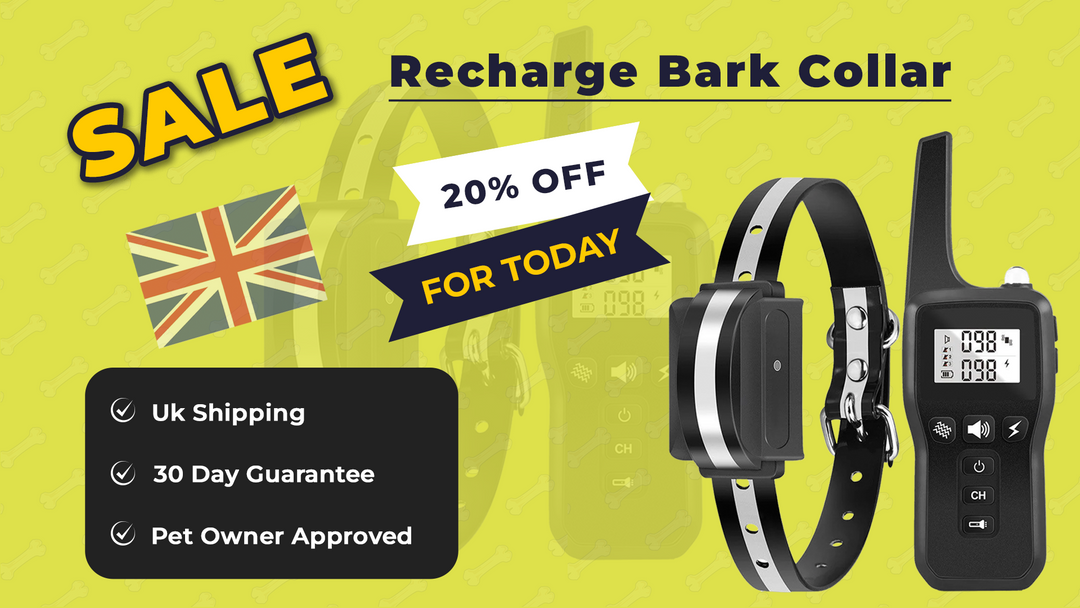 Waterproof & Rechargeable Dog Training Collar With 1000 meter Range – Safe & Effective Pet Training
