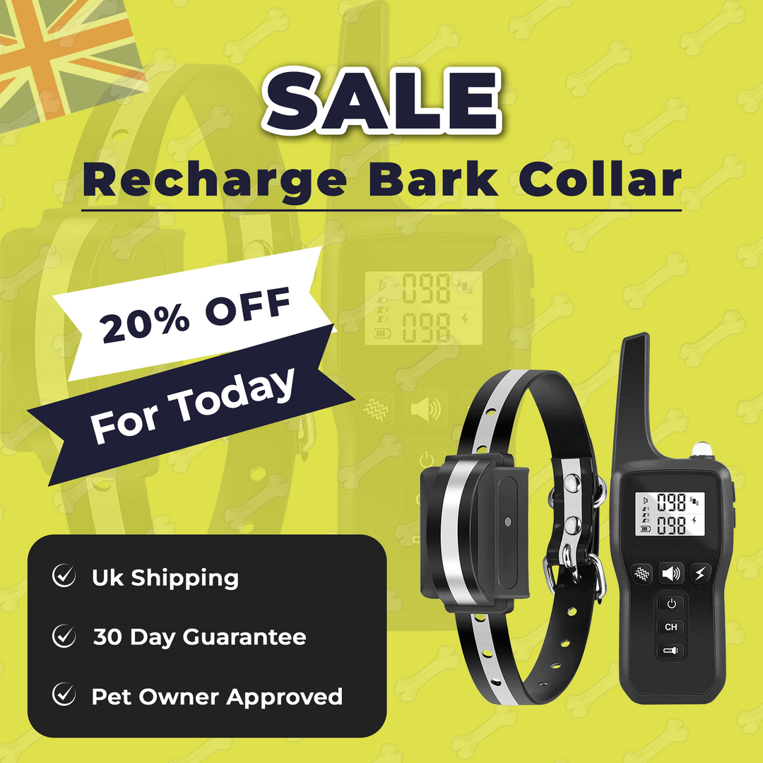 Waterproof & Rechargeable Dog Training Collar With 1000 meter Range – Safe & Effective Pet Training