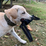 Load image into Gallery viewer, Strong Dog Bite Training Tug Toy Heavy Duty Interactive Chew Toy with Handles, Perfect for Training, Fetch and Play for Medium to Large Dogs

