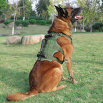 Load image into Gallery viewer, Military Tactical Dog Harness – Adjustable No-Pull Training &amp; Walking Harness for Medium &amp; Large Dogs