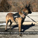 Load image into Gallery viewer, Heavy Duty Tactical Bungee Dog Leash with Car Seat Belt – Reflective Shock-Absorbing No Pull Lead for Large Dogs (Black, Green, Camo &amp; Brown)