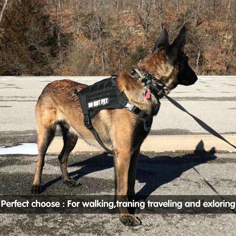 Heavy Duty Tactical Bungee Dog Leash with Car Seat Belt – Reflective Shock-Absorbing No Pull Lead for Large Dogs (Black, Green, Camo & Brown)