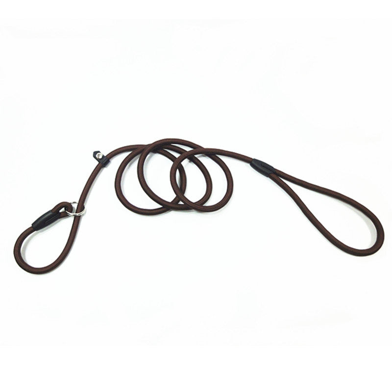 Strong Nylon Slip Lead Dog Leash One-Size-Fits-All, No-Pull Slip Lead for Training & Walking Medium Large & XL Dogs