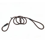 Load image into Gallery viewer, Strong Nylon Slip Lead Dog Leash One-Size-Fits-All, No-Pull Slip Lead for Training &amp; Walking Medium Large &amp; XL Dogs
