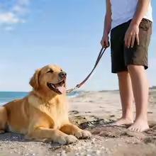 Genuine Leather Dog Leash with Solid Copper Hook – Heavy Duty Leather Lead for Medium & Large Dogs