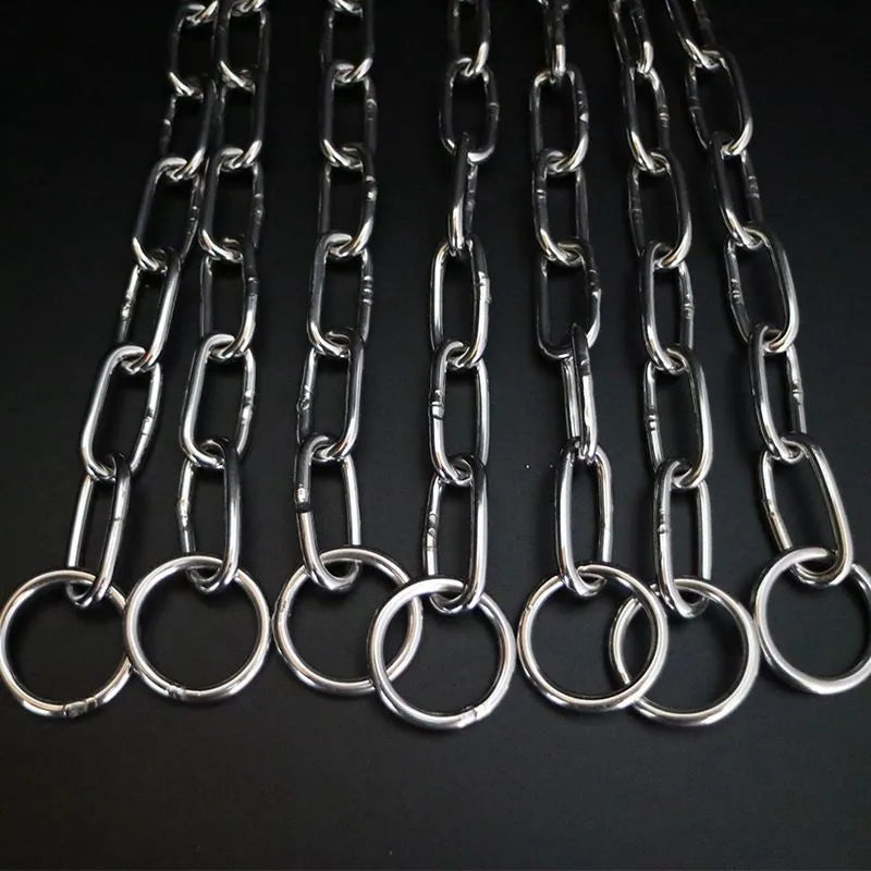 4.0mm x 55cm Long Link Chrome-Plated Steel Choke Chain Collar