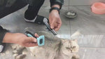 Load and play video in Gallery viewer, Pet Cleaning Tools Grooming Flea Brush Pet Removal Hair Dog Comb For Dog And Cat

