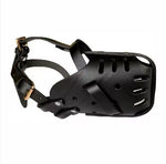 Load image into Gallery viewer, muzzle of the dog