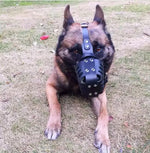 Load image into Gallery viewer, dog muzzle
