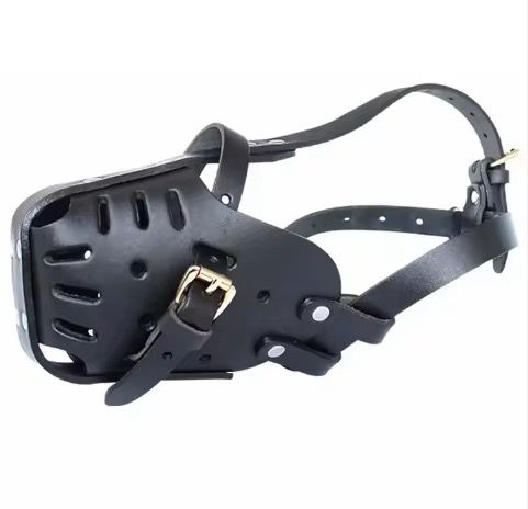 dog muzzle