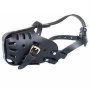 dog muzzle
