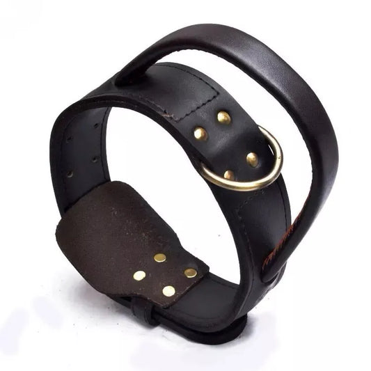 Leather Dog Collar With Quick Grab Handle For Large Dogs